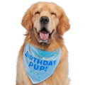Birthday Dog Bandana