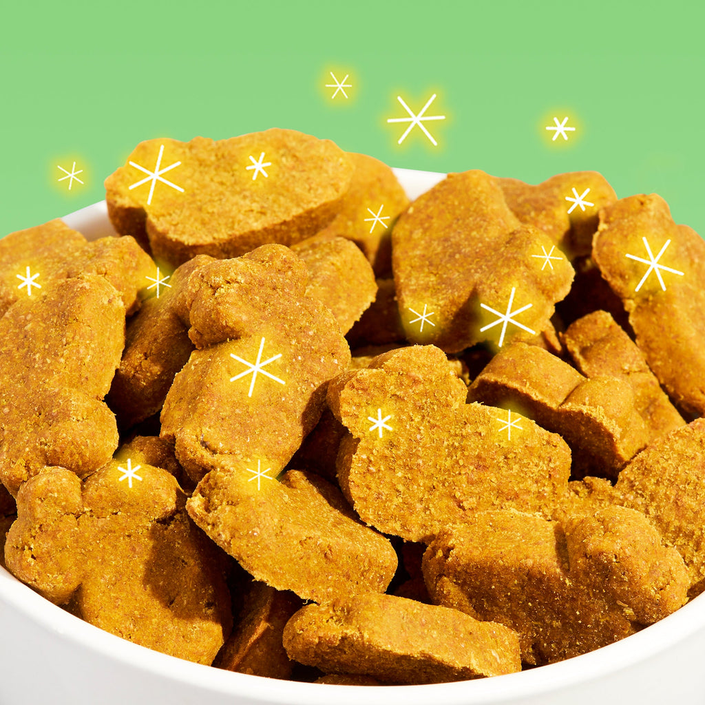 Lucky Duckies™ Turduken Recipe Chicken Duck Turkey Soft & Chewy Dog Treats, 10 oz